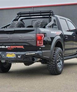 2018 Ford F 150 Raptor 13