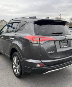 2018 Toyota RAV4 Metallic 30