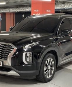 2019 Hyundai palisade