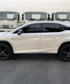 2019 LEXUS RX350 4WD