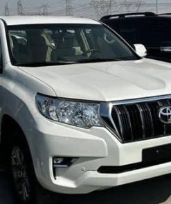 2020 Toyota Land Cruiser (4X4)