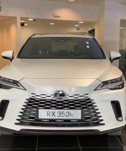 2023 Lexus RX 350h 2.5 4WD (12)